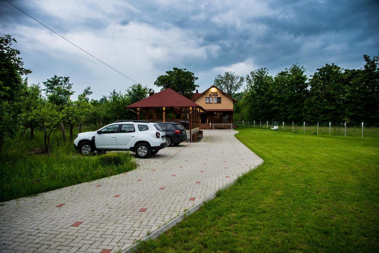 Pensiunea Surya Ludestii de Jos Exteriér fotografie
